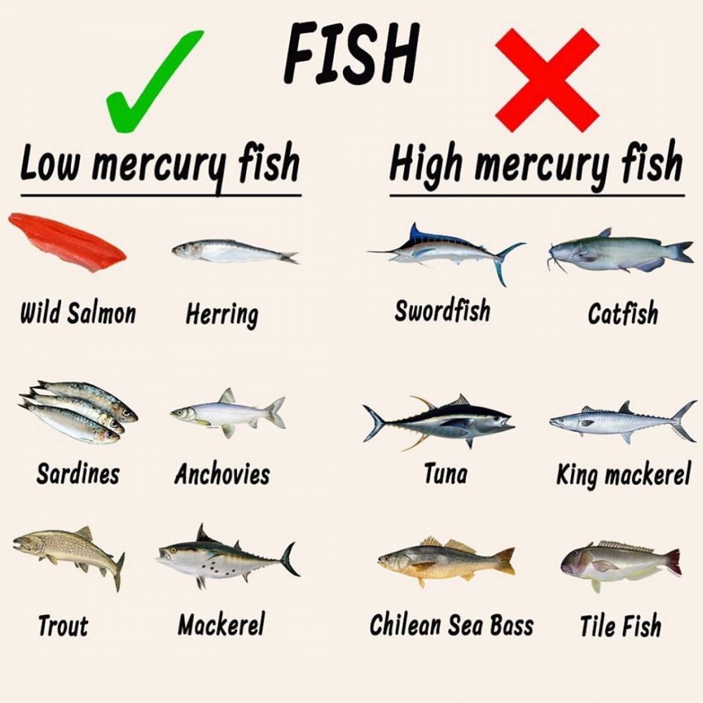 Které ryby obsahují rtuť?