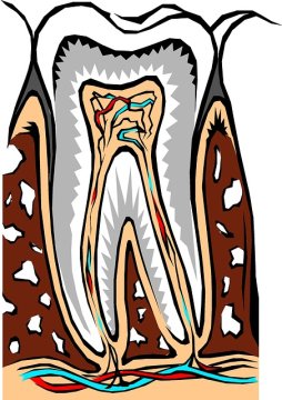 I. Endodoncie - úvod
