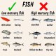 Vědci varují: Pozor na rtuť v rybách