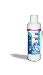 PresiDENT Professional antibakteriální ústní voda s 0,2% CHX, 1000 ml